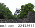 Kumamoto castle of fresh green 22438635