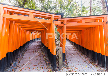 Torii gates in Fushimi Inari Shrine, Kyoto, Japan Torii gates in Fushimi Inari Shrine, Kyoto, Japan 22438731