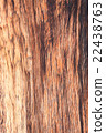Big Brown wood plank wall texture background 22438763