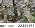 Oka castle in spring 22439363
