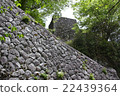Okajii Ishigaki 22439364
