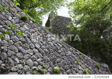 Okajii Ishigaki 22439364