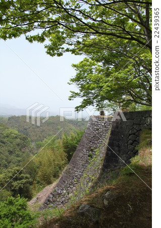 Okajo in fresh green 22439365