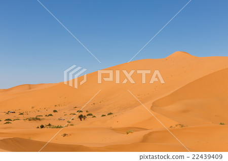 Erg Chebbi, Morocco 22439409