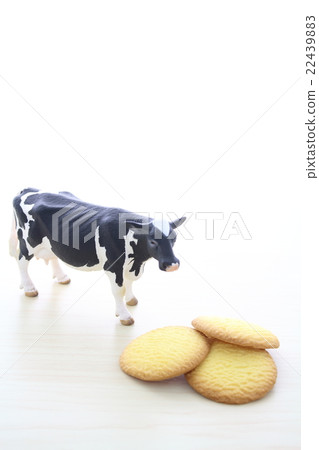 Dairy product image Dairy product image 22439883