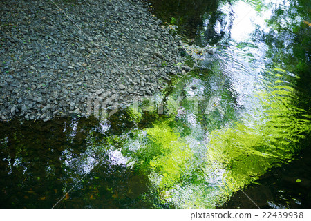 Yeoso力量峽谷，河邊 22439938