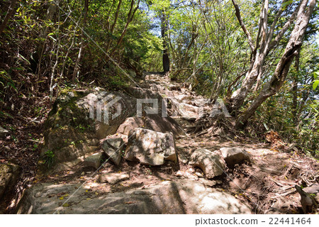Rokko Mountain Agonie Slope Rokko Mountain Agonie Slope 22441464