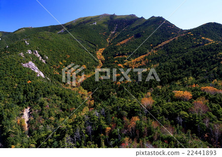 從Dainichi看秋天的金山山 22441893