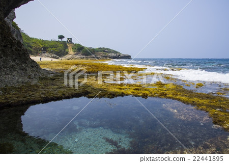 Little Ryukyu Venice Beach 22441895