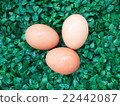eggs on green grass, easter eggs, 3 eggs on green  22442087