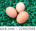 eggs on green grass, easter eggs, 3 eggs on green  22442088