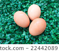 eggs on green grass, easter eggs, 3 eggs on green  22442089