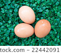 eggs on green grass, easter eggs, 3 eggs on green  22442091