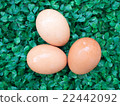 eggs on green grass, easter eggs, 3 eggs on green  22442092