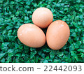 eggs on green grass, easter eggs, 3 eggs on green  22442093
