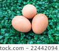 eggs on green grass, easter eggs, 3 eggs on green  22442094