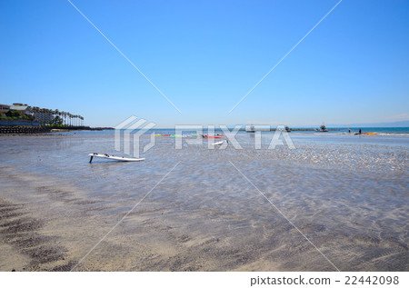 Wind surfing on the sandy beach of Zushi Marina and Timberwalk 22442098