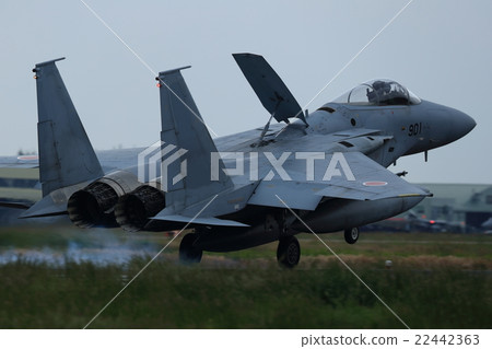 Air Self Defense Force Fighter Landing F - 15J 22442363