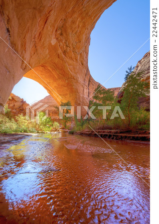 Jacob Hamblin Arch 22442471