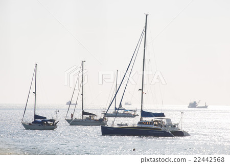 Ship yachts on the sea in summer season 22442568