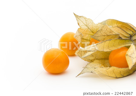 Golden Berry Cape Gooseberry (Edible Physalis): Goldenberries Golden Berry Cape Gooseberry (Edible Physalis): Goldenberries 22442867