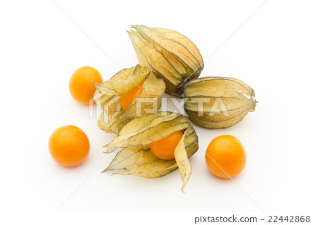 Golden Berry Cape Gooseberry (Edible Physalis): Goldenberries Golden Berry Cape Gooseberry (Edible Physalis): Goldenberries 22442868