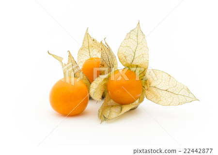 Golden Berry Cape Gooseberry (Edible Physalis): Goldenberries 22442877