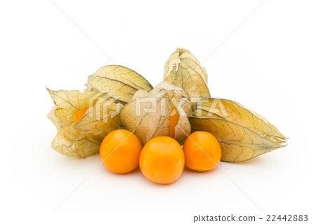 Golden Berry Cape Gooseberry (Edible Physalis): Goldenberries 22442883