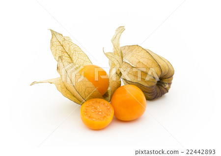 Golden Berry Cape Gooseberry（食用酸漿）：Goldenberries 22442893