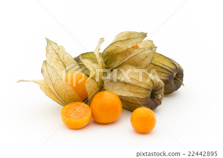 Golden Berry Cape Gooseberry（食用酸漿）：Goldenberries 22442895