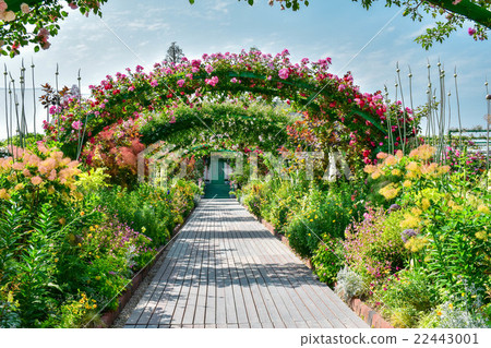 Lake Hamana Garden Park flower tunnel Lake Hamana Garden Park flower tunnel 22443001