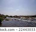 多摩川 22443033