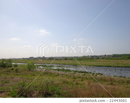 多摩川 多摩川 22443081