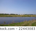 多摩川 22443083