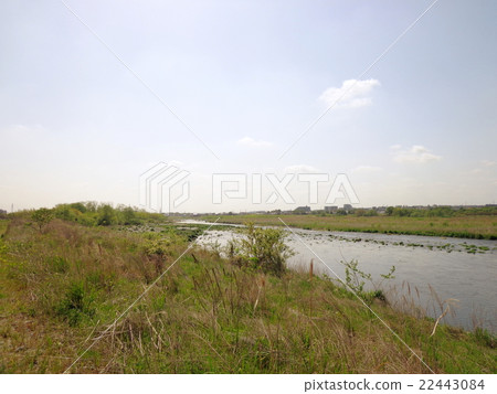 Tama River 22443084