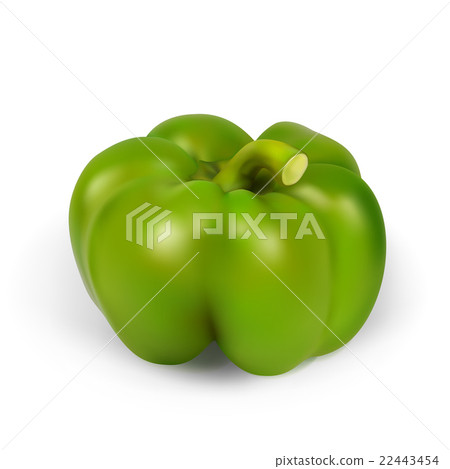 realistic green pepper realistic green pepper 22443454