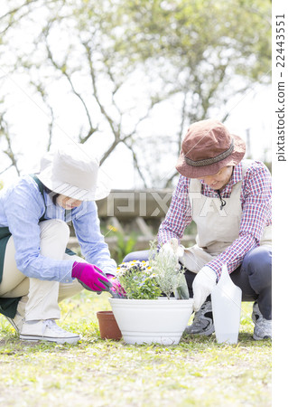 A couple in their 50s enjoying gardening A couple in their 50s enjoying gardening 22443551