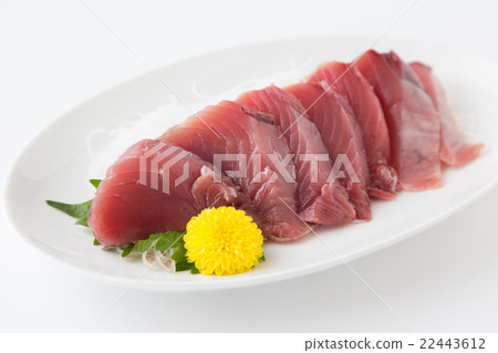 第一隻松鼠生魚片 第一隻松鼠生魚片 22443612