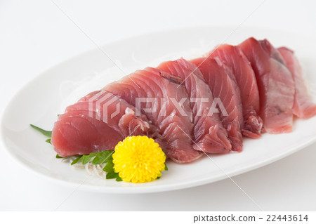 First squirrel sashimi 22443614