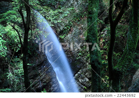 Kurosan Mitaki Man Falls Kurosan Mitaki Man Falls 22443692