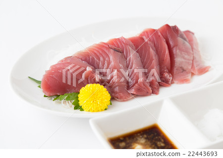 第一隻松鼠生魚片 第一隻松鼠生魚片 22443693