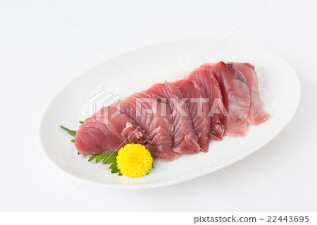 First squirrel sashimi 22443695