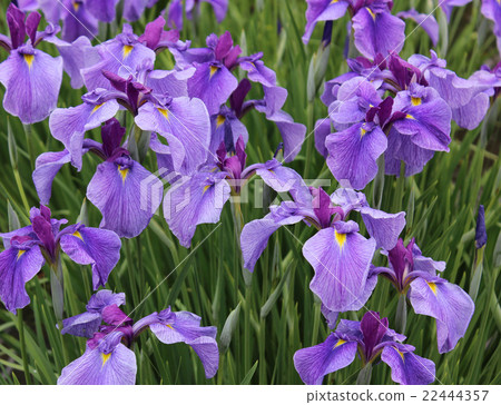 雨季的顏色 雨季的顏色 22444357