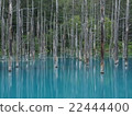 反映倒下的樹的樹的一個藍色池塘 22444400
