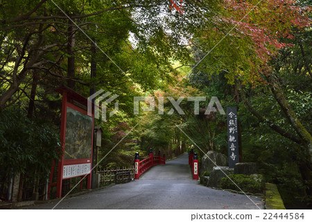 Kumano Kanonji現在 22444584
