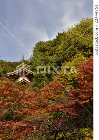 Kumano Kanonji醫生的大教堂Daishodo現在 Kumano Kanonji醫生的大教堂Daishodo現在 22444753