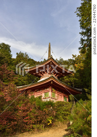 Kumano Kanonji Doctor's Cathedral Daishodo now Kumano Kanonji Doctor's Cathedral Daishodo now 22444760