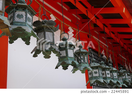 Lanterns of Kasuga Taisha Shrine 22445891