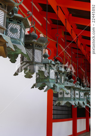 Lanterns of Kasuga Taisha Shrine 22445892