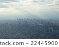 Tokyo cityscape Tokyo cityscape 22445900